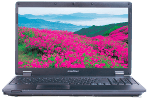 Ремонт ноутбуков Acer eMachines серии